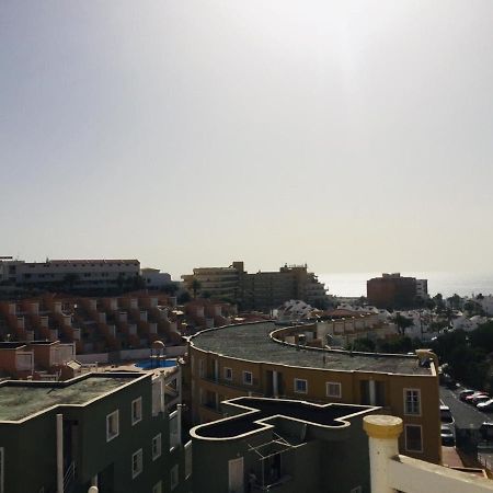 Summer Sun أذيخي المظهر الخارجي الصورة